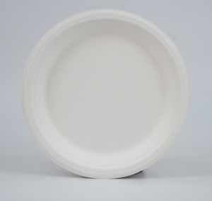 Assiette ronde en bagasse de 9 pouces, résistante à la chaleur, utilisable au micro-ondes, pour un usage unique - Product Image 3