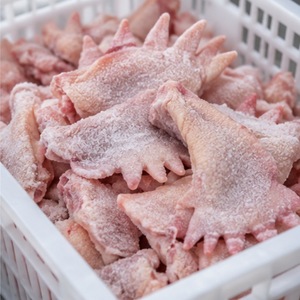 Ailes de poulet surgelées (POULTRY) - Product Image 1