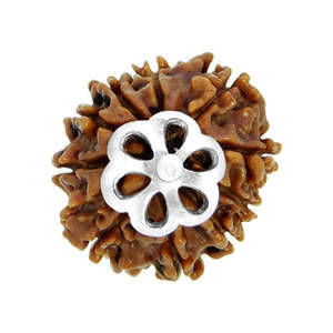 Pendentif Rudraksha 10 Mukhi népalais en argent 925, original et certifié, Rudraksha à dix faces, motif or rose, pendentif porte-bonheur - Product Image 2
