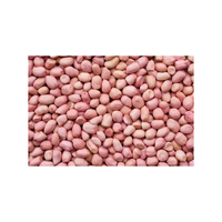 Arachides brutes sans coque, export en vrac, arachides décortiquées de qualité supérieure du Brésil