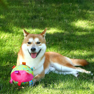 Jouet interactif pour chien en peluche sonore, coloré, en forme de cloche, écologique, durable, résistant aux morsures, pour les dents et les jouets à lancer - Product Image 6