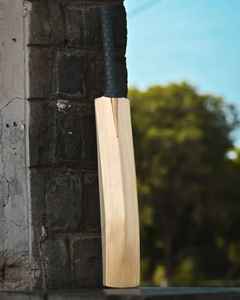 Best Benpro Enterprises BE-CB-2251 Logotipo personalizado Impreso Peso ligero Inglés Willow Cricket Bat-Ecológico Alta calidad Nuevo - Product Image 2