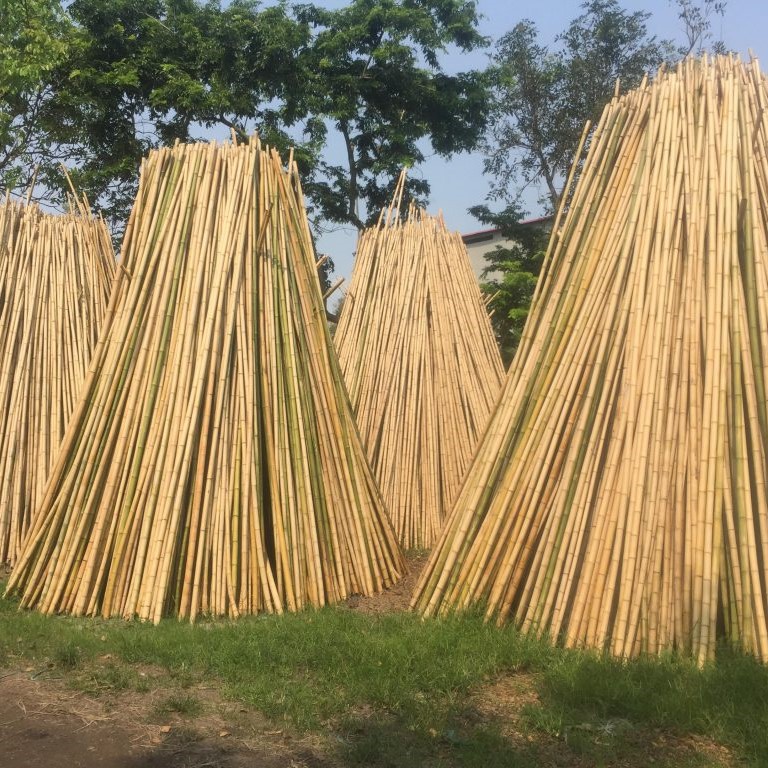 Grohandel Vietnam Bambus Stick Pfahl-100% natrlicher Bambus fr die  Untersttzung von Blumen grtnerei pflanzen| Alibaba.com