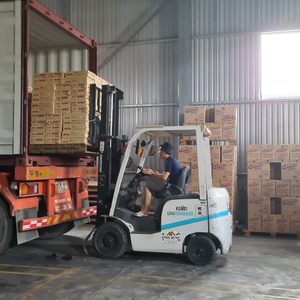 Cepillo de dientes 123 con cerdas suaves Diseño único para uso doméstico Evita la caries Blanquea los dientes Refresca el aliento - Product Image 5