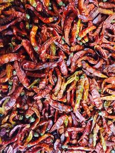 Fabricant vietnamien produisant du piment séché pour les commandes importantes, garantissant une approvisionnement stable et une consistance du piment séché - Product Image 5