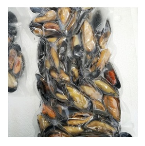 Moules congelées en gros / Viande de moule congelée avec coquille (Produits de la mer) – Stock en vrac disponible à la vente - Product Image 1