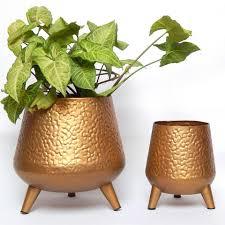 Maceta de Metal de Calidad Superior con Acabado Antiguo de Latón para Plantas, Decoración de Jardín o Hogar, Macetas de Metal en Venta - Product Image 5