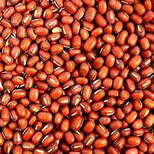 FRIJOL ROJO DE CALIDAD PREMIUM CON ALTA FIBRA Y ENERGÍA BASADA EN PLANTAS - Product Image 5