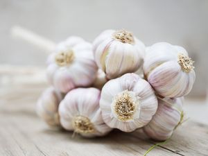 Nueva temporada de ajo blanco fresco y normal disponible al por mayor precio barato - Product Image 5
