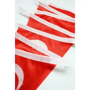 ธงสามเหลี่ยมแทนซาเนียสำหรับตกแต่งงานปาร์ตี้ - Product Image 3
