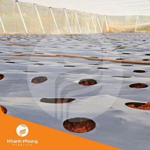 Película de Cobertura Agrícola para Camas de Cultivo, Ofrece Opciones de Color Flexibles para las Necesidades de la Agricultura Moderna - Product Image 6