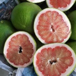 Pomelo Fresco con Piel Verde IQF de Alta Calidad en Oferta - Product Image 4