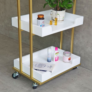 Multi-Application Metal & Plastic <b>Tool</b> Cart for Spa Beauty Salons & Hospitals (35x46.8x82.5cm) - Product Image 5