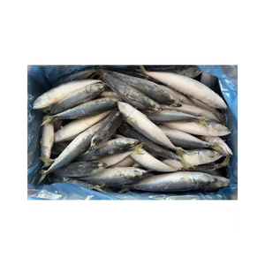 Scomber congelado Premium, suministro a granel, venta al por mayor, calidad fresca, Exportación - Product Image 2