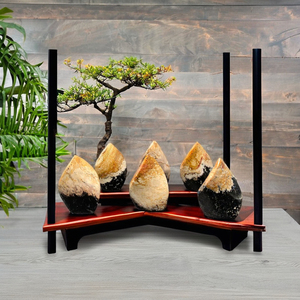 Sculpture décorative en racine de palmier naturelle de qualité supérieure, polie, sculptée à la flamme, origine Indonésie, 7,5 cm, Art & Objets de collection - Product Image 6