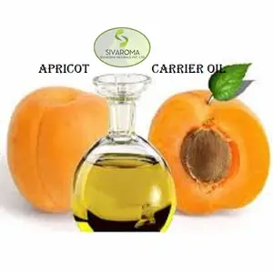 Produsen menyediakan minyak aprikot 100% minyak biji aprikot alami murni perawatan rambut minyak pembawa pijat tubuh dalam jumlah besar