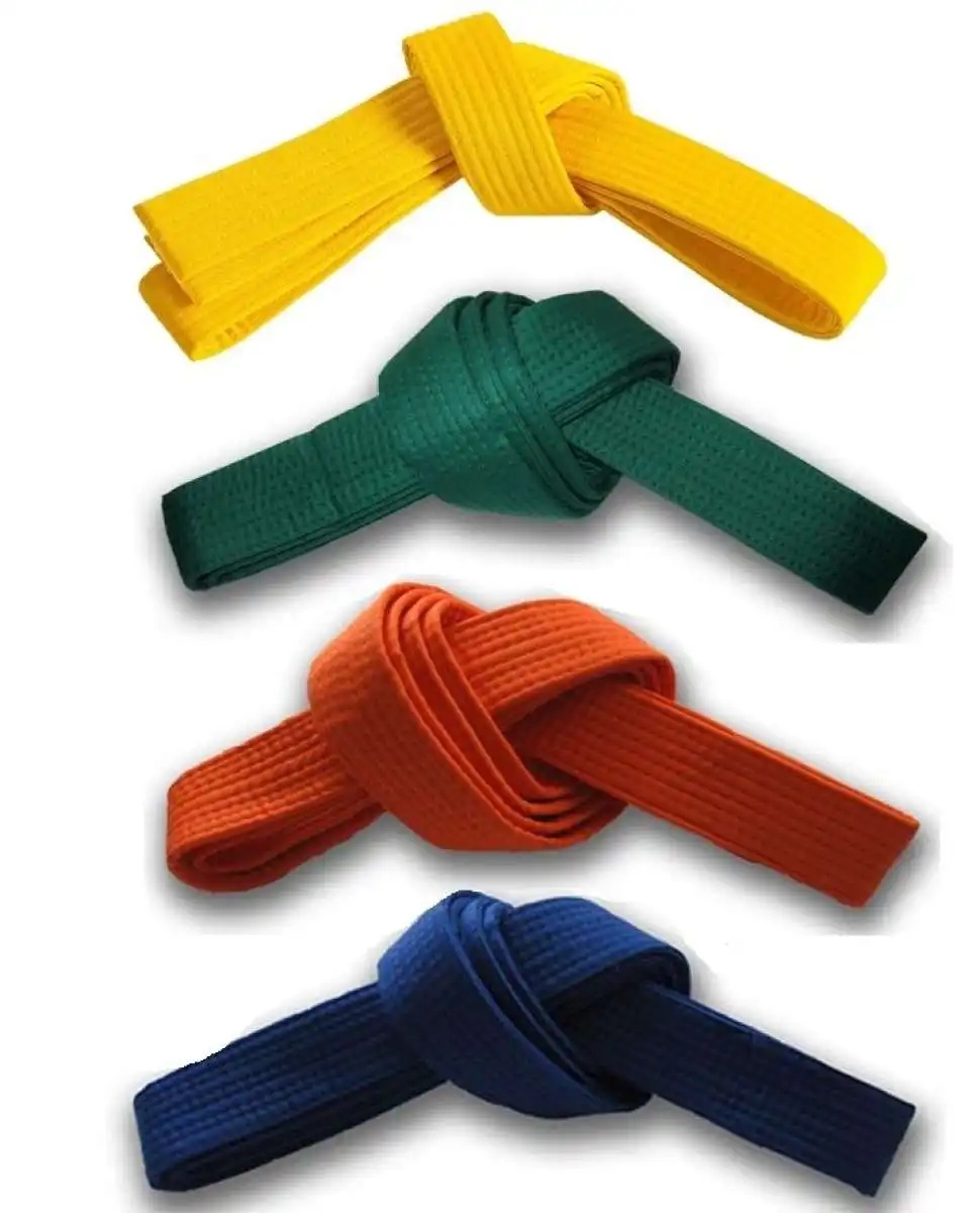 Vente en gros de ceintures BJJ brodées avec logo personnalisé pour enfants ceintures d'arts martiaux de couleur personnalisée ceintures d'arts martiaux épaisses et durables