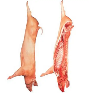 Compra/Pedido en Línea de Carcasas de Cerdo Enteras Congeladas de Alta Calidad / Carne de Cerdo Entera con la Mejor Calidad y al Mejor Precio para Exportación - Product Image 1