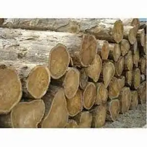 أفضل درجة سجلات خشب الصنوبر وسجلات الأخشاب للبيع