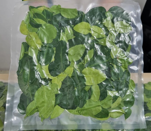 High Quality Vietnam Frozen Lemon Leaves Supplier Offering <b>Large</b> Quantity Export with Best Competitive Price - Product Image 5