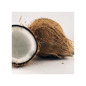 Coco fresco enfocado en el comercio disponible para necesidades de compra a granel competitivas - Product Image 4