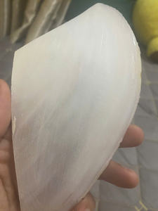 Coquille de nacre de Vietnam, couche de nacre lustrée, conçue pour la décoration de bijoux, l'artisanat, l'exportation, les affaires - Product Image 5