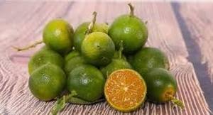 ETIQUETTE PROPRE KUMQUAT CONGELÉ/FORMULE IMMUNITAIRE À BASE DE PLANTES - Product Image 6