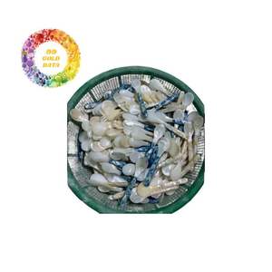 Lujosa cuchara de nácar hecha a mano ideal para servir utensilios de cocina de conchas marinas finas Cocina única Mejores Regalos de 99 GD - Product Image 2