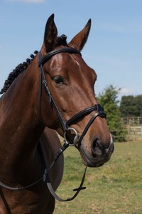 Haute qualité 2018-2019 cheval bride en cuir matériel en gros pas cher prix - Product Image 3