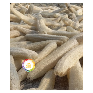 HIGH QUALITY NATURAL LOOFAH VIETNAM PRODUCT ECO FRIENDLY HOT SALE WITH GOOD PRICE FOR GLOBAL EXPORTERS - Product Image 5