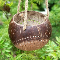 Pot Tanaman dari Tempurung Kelapa/Pot Gantung dari Tempurung Kelapa/Pot Tanam dengan Gantungan Bunga Ramah Lingkungan Tahan Lama untuk Penggunaan di Lantai Eco2go Vietnam