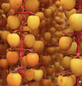 Ingrédient de collation de qualité supérieure en kaki séché au soleil du Vietnam pour les desserts gastronomiques et les créations culinaires élégantes - Product Image 5
