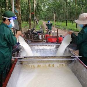 Producto de caucho de Vietnam de un proveedor vietnamita de confianza, HA Latex 60% DRC para OEM y uso de fábrica - Product Image 4