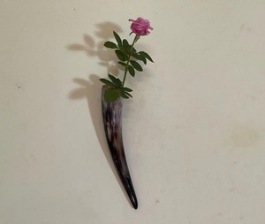 Buffalo Horn Plant Pot for <b>Party</b> <b>Decoration</b> Wedding and Design Piece and Hot Sale Product Natural Horn Color - Product Image 4