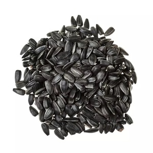 Graines de tournesol brutes / Graines de tournesol grillées/séchées pour la production d'huile de tournesol, vente en gros - Product Image 4