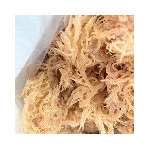 สาหร่ายแห้งที่เป็นมิตรกับสิ่งแวดล้อม Eucheuma cottonii จากเวียดนามเหมาะสำหรับเจลชาเจลลี่และฐานยาสีฟันอินทรีย์ - Product Image 5