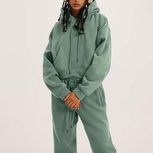 Chándal moderno de invierno para mujer, Sudadera con capucha de tela suave polar y pantalones para correr, ropa deportiva para entrenamiento de gimnasio, proveedor OEM ODM - Product Image 3