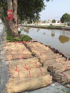 Corde de jacinthe d'eau séchée naturelle écologique pour l'artisanat Accessoires Fabrication de meubles Produit agricole - Product Image 6