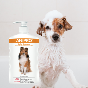 Champú para Perros Anipro Natural Sulphur de Primera Calidad, Formulado para Apoyar la Comodidad de la Piel y Prevenir la Irritación Cutánea Recurrente - Product Image 1