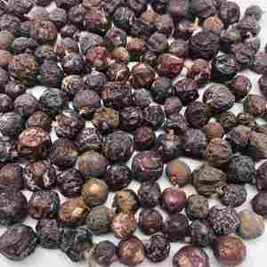 New season Organic natural dried juniper berries bulk supply premium quality wholesale private label packaging for international - Product Image 4