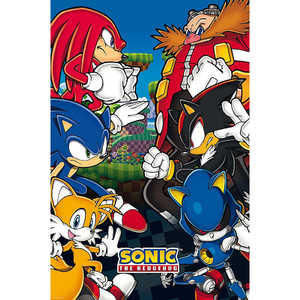 Póster Colgante de Sonic the Hedgehog, Técnica de Impresión Digital, Hecho de Material de Poliéster Duradero - Product Image 1