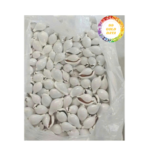 Material de concha de mar natural de cáscara de huevo de vaca blanca perfecto para artesanías de decoración del hogar y fabricación de joyas Vietnam - Product Image 3