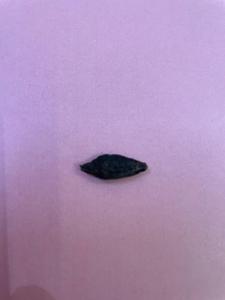 Produit agricole de qualité supérieure Harad noir ayurvédique - Product Image 3