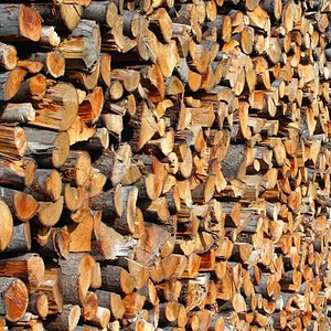 Bois de chauffage séché/Bois de chauffage de chêne/hêtre/frêne/épicéa/bois de feu de bouleau à vendre - Product Image 1