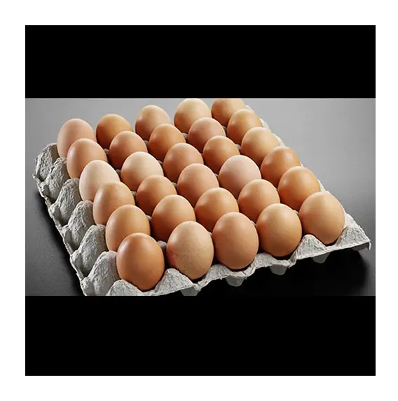 Nuevos huevos frescos de gallina, huevos de granja, huevos de mesa con cáscara blanca y cáscara marrón de excelente calidad