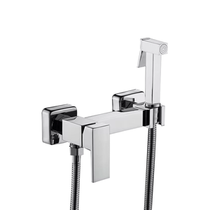 Toilette dissimulée Shattaf pulvérisateur Douche douche hygiénique Chrome Bidet robinet eau chaude froide robinet à main Bidet pulvérisation ensemble de douche