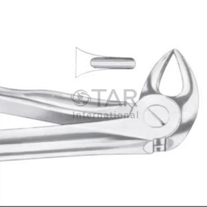 Fig. 33S Raíces inferiores para niños Fórceps de extracción de dientes de diferentes tamaños Instrumentos médicos dentales - Product Image 2