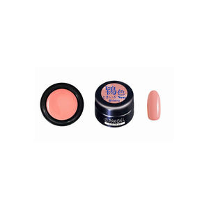 CEN870 Presto Gel Color EX Tokiiro Neo 15ml Vernis à ongles en gel de créateur Matériau en résine avec certificat CPSR Échantillon gratuit - Product Image 3