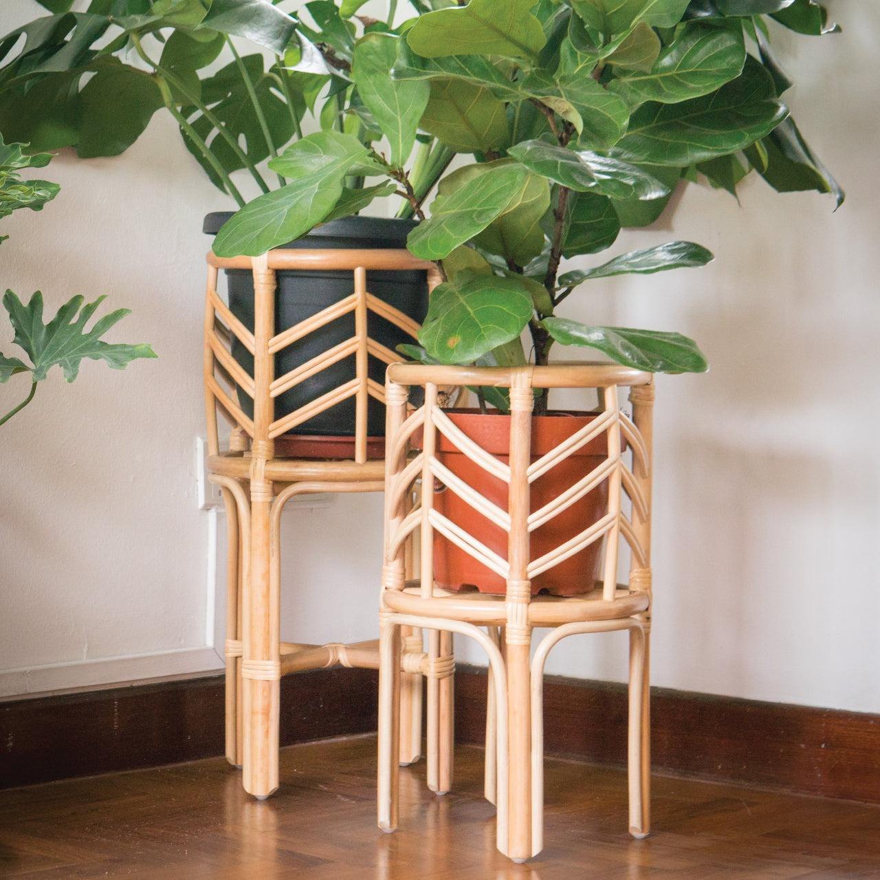 ธรรมชาติ