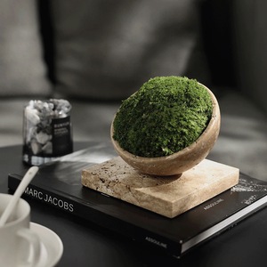 กระถางต้นไม้หินทรงกลมธรรมชาติทำด้วยมือกระถางสวนแบบทันสมัยสำหรับตกแต่งผนังห้องนั่งเล่นพื้นที่รับประทานอาหารกลางแจ้งในร่ม - Product Image 4